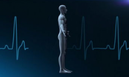 心脏跳动的视频,揭秘心脏跳动的奥秘